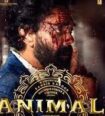 animal movie