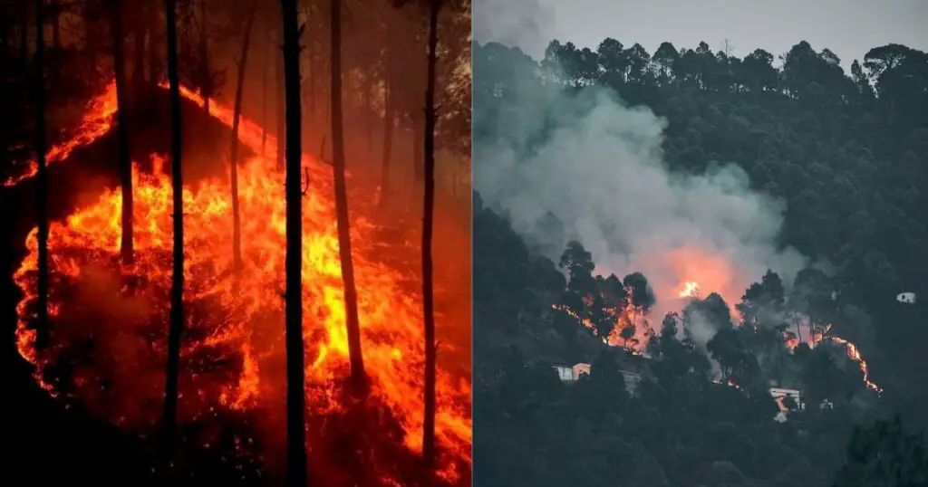 Uttarakhand wildfire