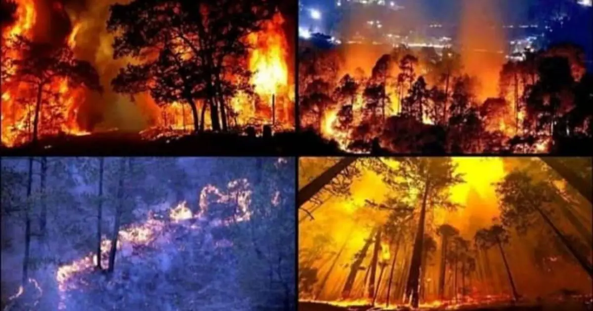 Uttarakhand wildfire